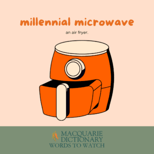 millennial microwave - an air fryer. 