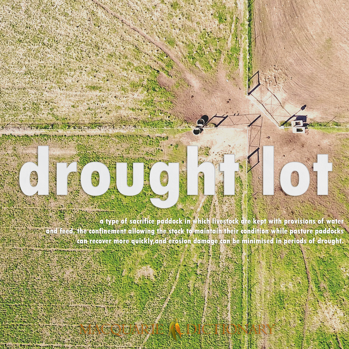 Image of Macquarie Dictionary Word of the Year drought lot a type of sacrifice paddock in which livestock are kept with provisions of water and feed, the confinement allowing the stock to maintain their condition while pasture paddocks can recover more quickly, and erosion damage can be minimised in periods of drought.